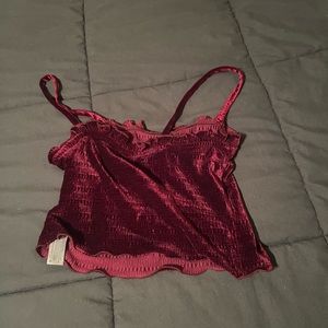 Wild Fable Velvet Crop Top
